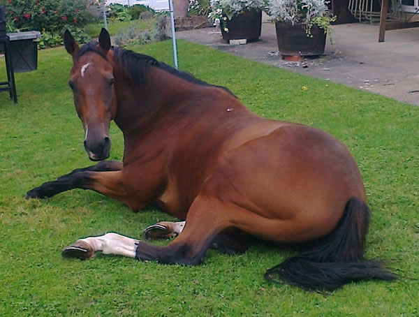 kkeventslookingatyou